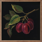 Walnut picture frame with prune artwork by Silvia Vassileva, displayed in a 16x16 inch Kendrick Home frame.