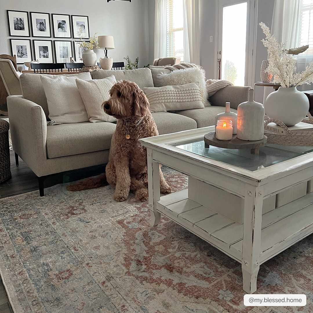 Cream washable Emke flat pile rug by Boutique Rugs, featuring a soft, textured design ideal for living rooms or bedrooms.