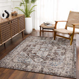 Dark brown medallion area rug by Hauteloom, featuring intricate patterns, shown in a stylish room setting.