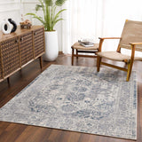 Hauteloom Peeta gray blue medallion area rug in a living room scene, showcasing intricate medallion pattern and soft texture.