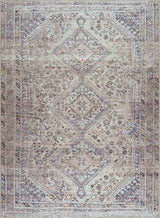Barny Tan washable area rug by Boutique Rugs featuring a stylish design with neutral tones and soft texture.