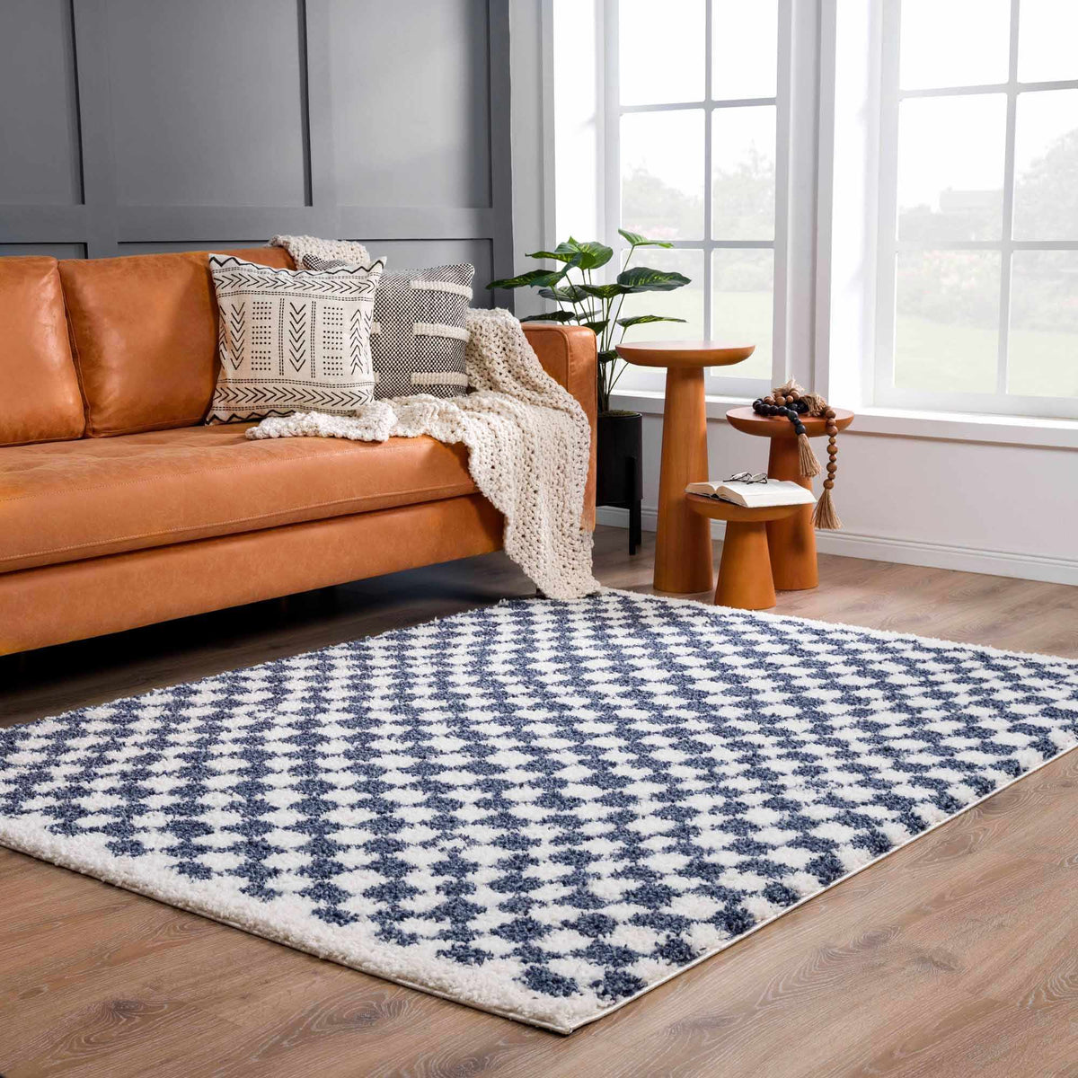 Blue and white checkered area rug from Boutique Rugs, featuring a classic pattern in a cozy living room setting.