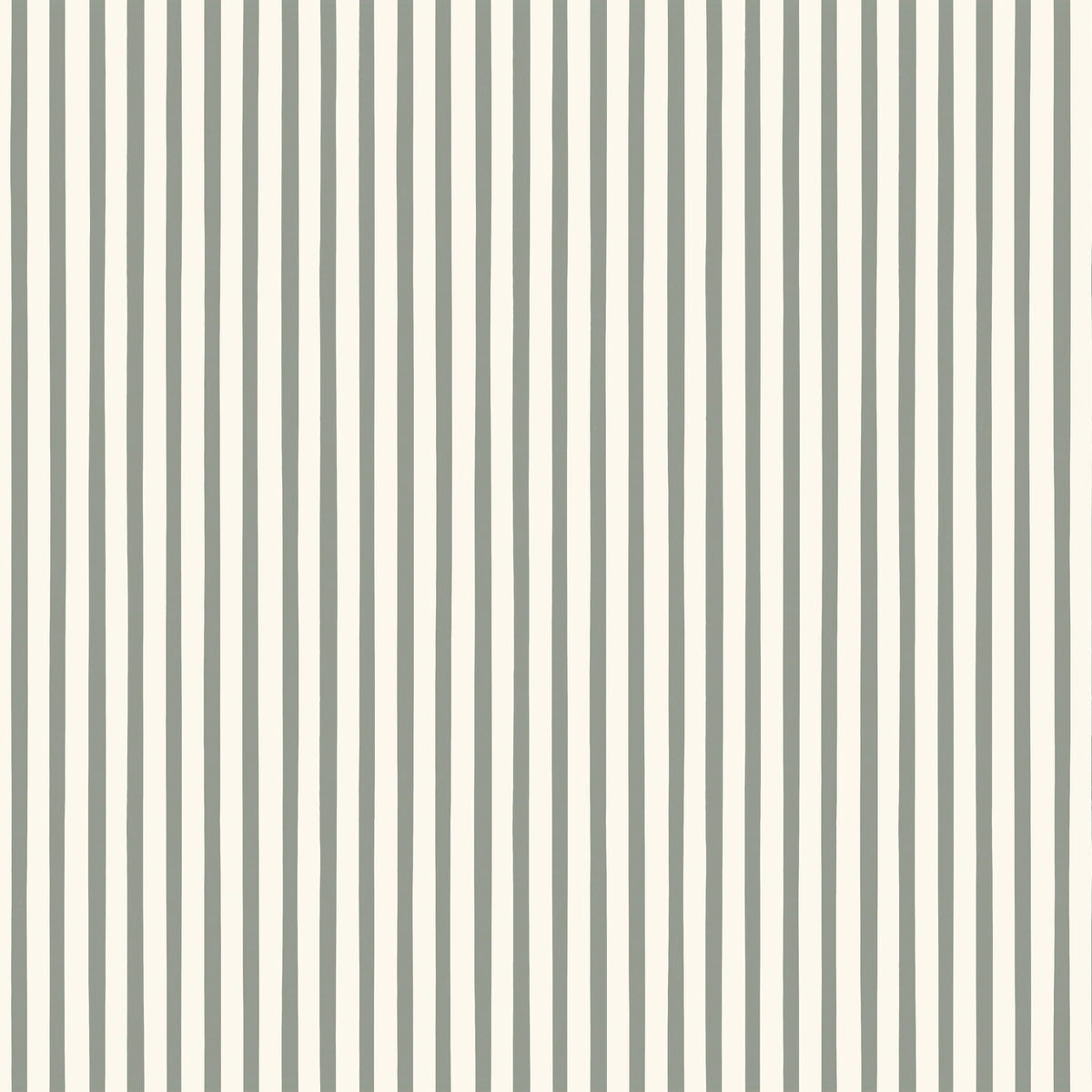 North and Finch Finn Stripe wallpaper in sage with bold, clean stripe pattern on textured wall background.