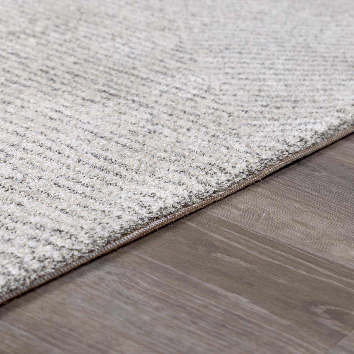 Close-up of a plush Horsley Area Rug by Boutique Rugs with textured pile in warm, neutral tones.