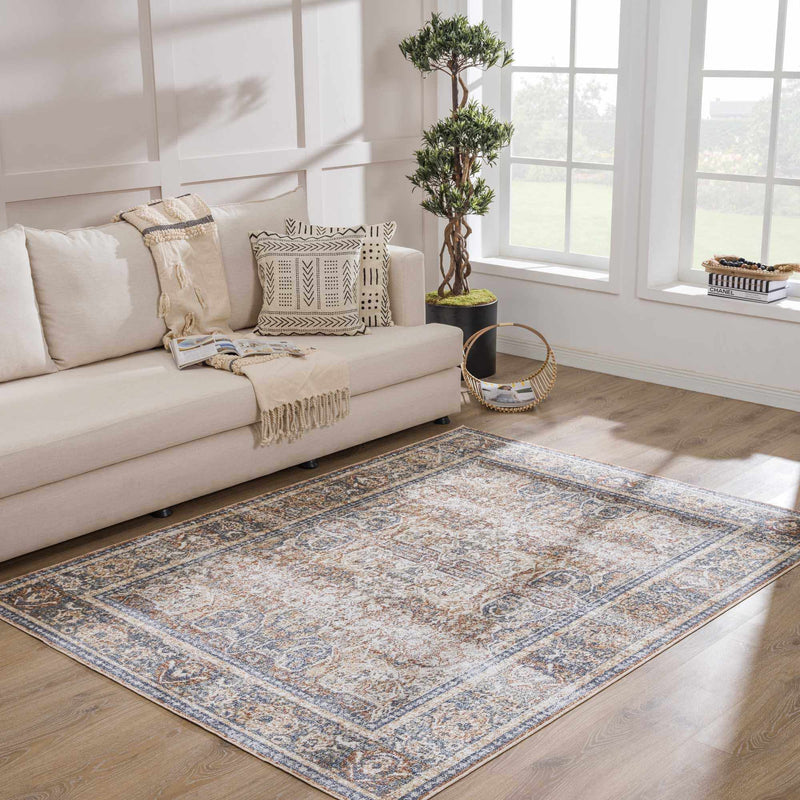 Blue Boutique Rugs washable rug displayed in a living room scene, showcasing a stylish and soft area rug for home decor.