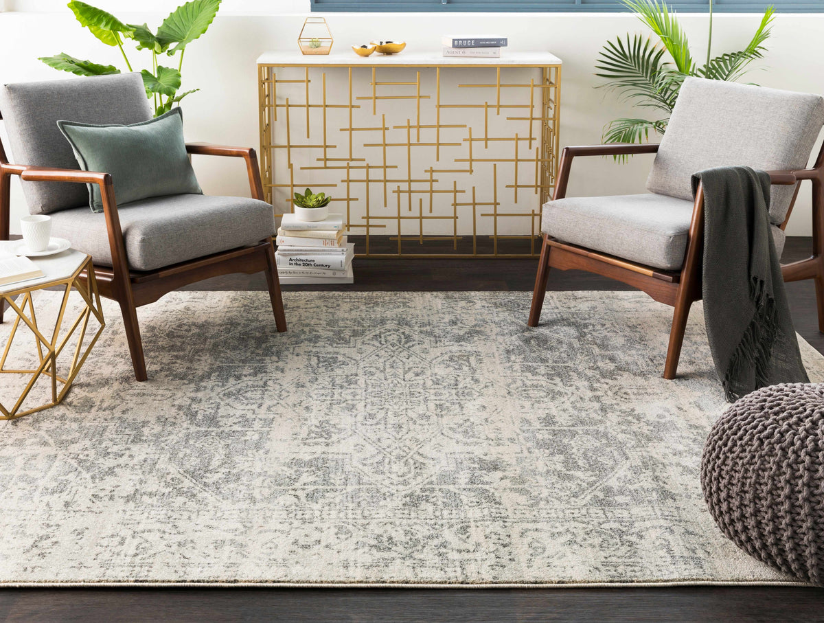 Hauteloom Rachel area rug with intricate pattern and neutral tones, shown in a cozy living room setting.