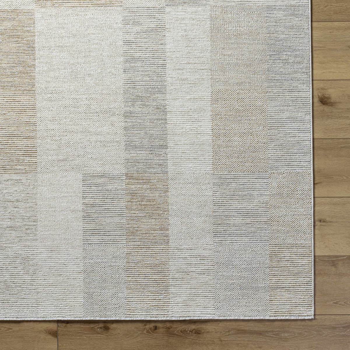 Overhead view of the Radia Luxe Rug by Boutique Rugs, showcasing its intricate pattern and plush texture.